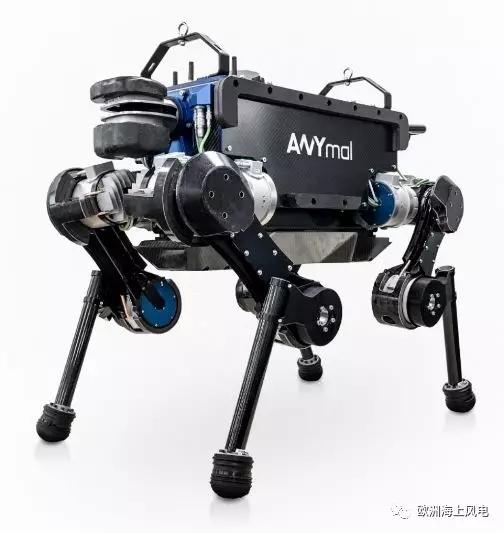 640.webp (15).jpg